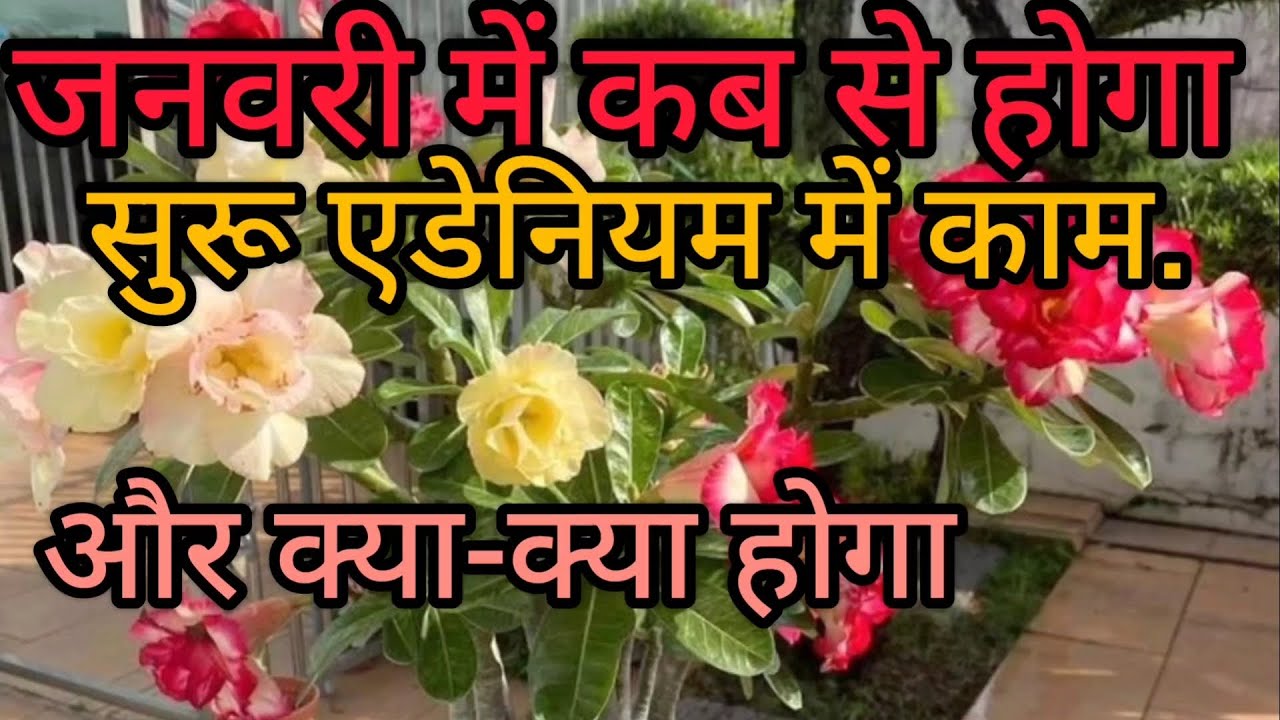 January Main Kab Se Hoga Shuru Adhiniyam Mein Kam Aur Hoga january-main-kab-se-hoga-shuru-adhiniyam-mein-kam-aur-hoga