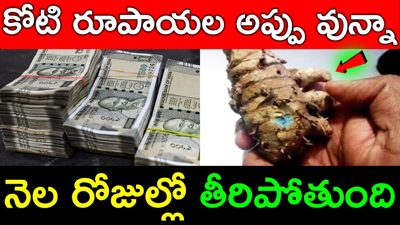 కోటి రూపాయల అప్పు వున్నా నెల రోజుల్లో తీరిపోతుంది