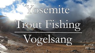 Yosemite Backpacking & Trout Fishing Vogelsang High Sierra Camp 2021 Fly Fishing