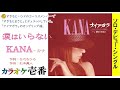 KANA-カナ「涙はいらない」《歌詞付き》