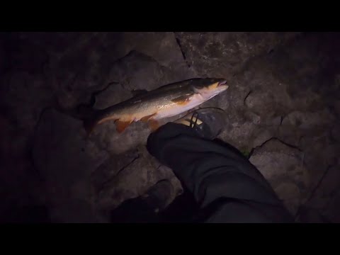 I Caught a Giant PikeMinnow while SmallMouth Bass Fishing The Columbia River