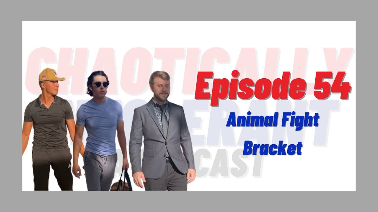 EPISODE 54- ANIMAL FIGHT BRACKET