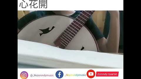 [zhongruan solo]心花開🌻