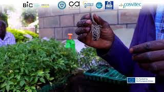 5.2: Project Story Telling | John – Changing Perceptions on Agriculture
