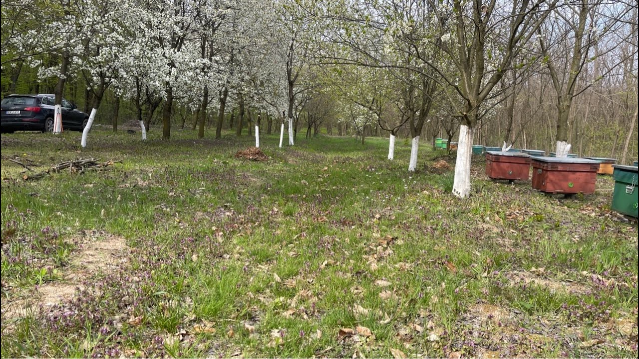 És végre kint a telepen