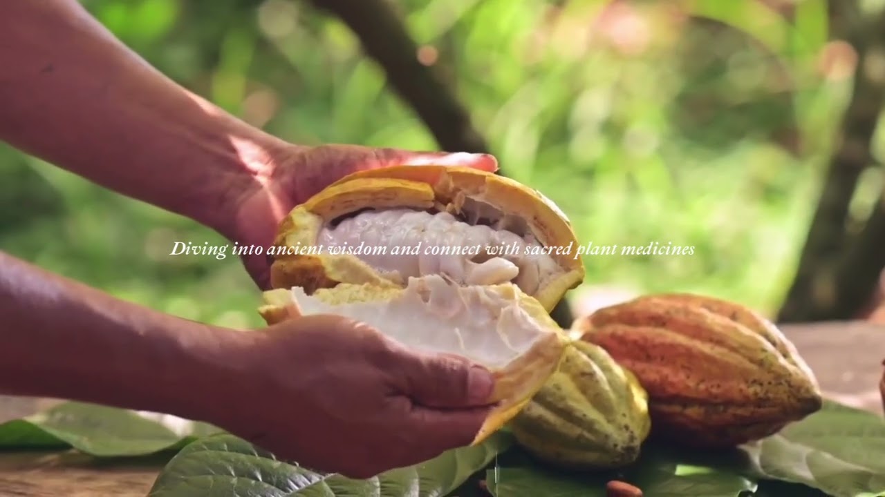 Sacred Roots: Cacao and Earth Wisdom Immersion in Guatemala