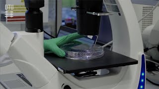 Advanced Materials and Healthcare Engineering (MSc), DTU