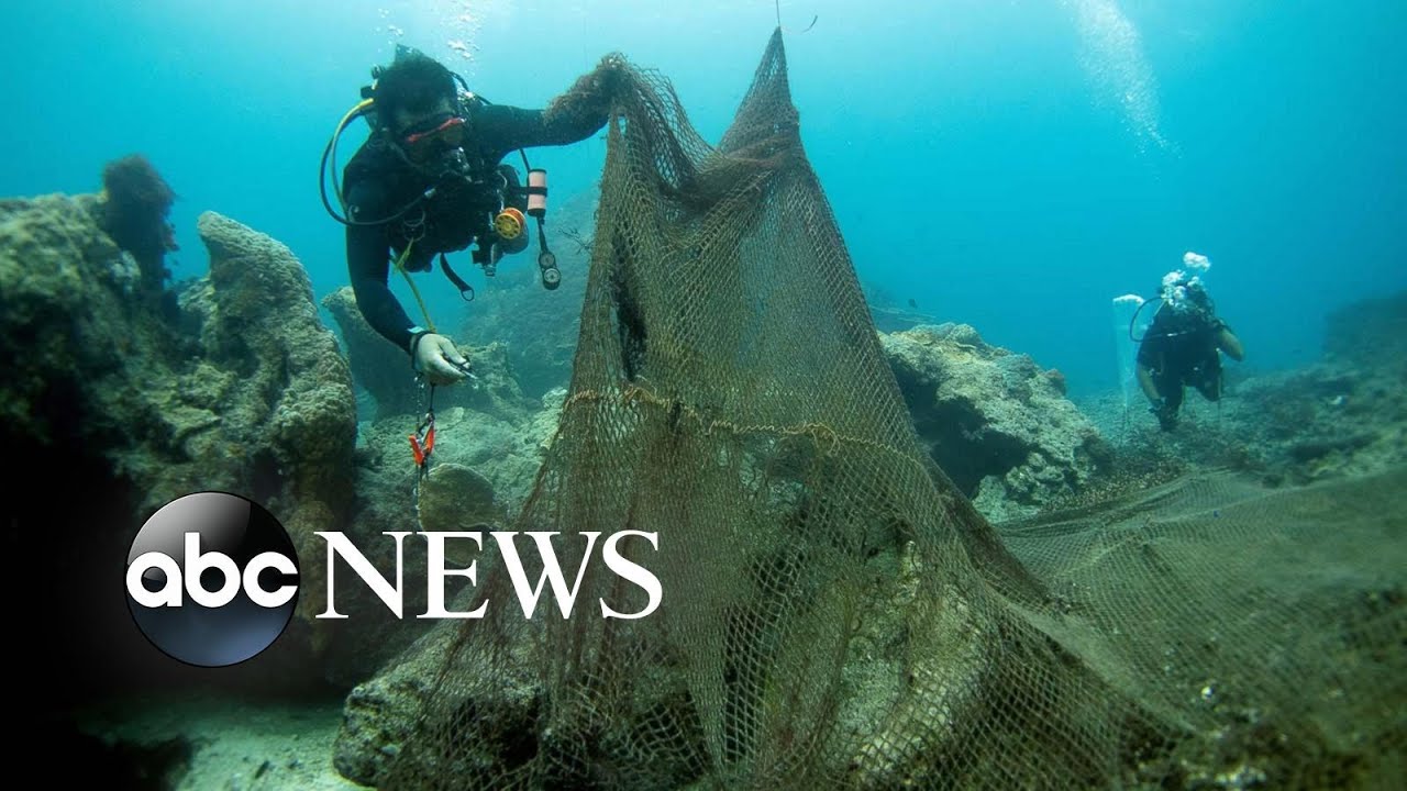 Coral reef rescue, summer solstice celebrations: World in Photos, June 21