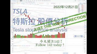 TSLA Analysis of Tesla Stock Price Trends December 21, 2022 (Issue 326)