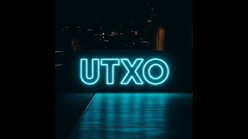 E317-Mastering Bitcoin UTXO Management and Privacy analysis from BitcoinMechanic