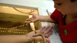 Jack At Wetlands Institute