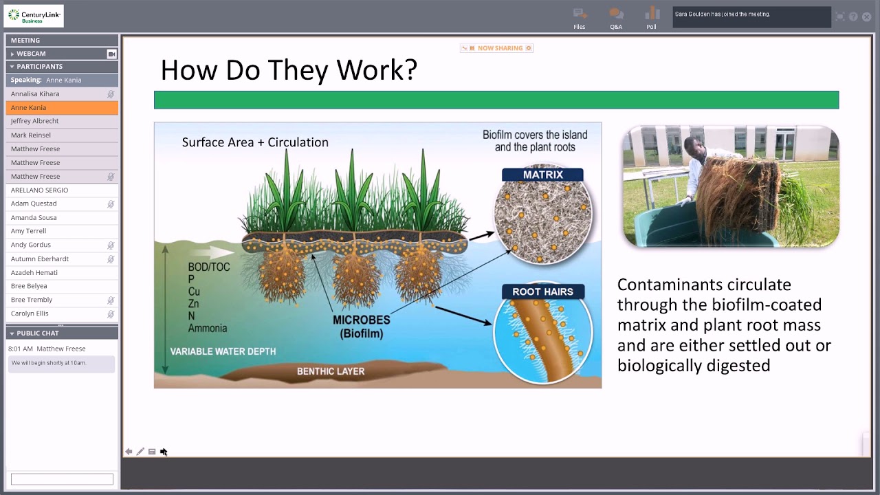 STORMS Seminar Floating Islands Recording