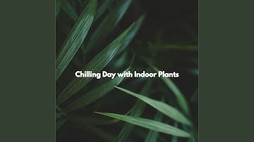 Entertaining Ambiance for Lazy Horizon