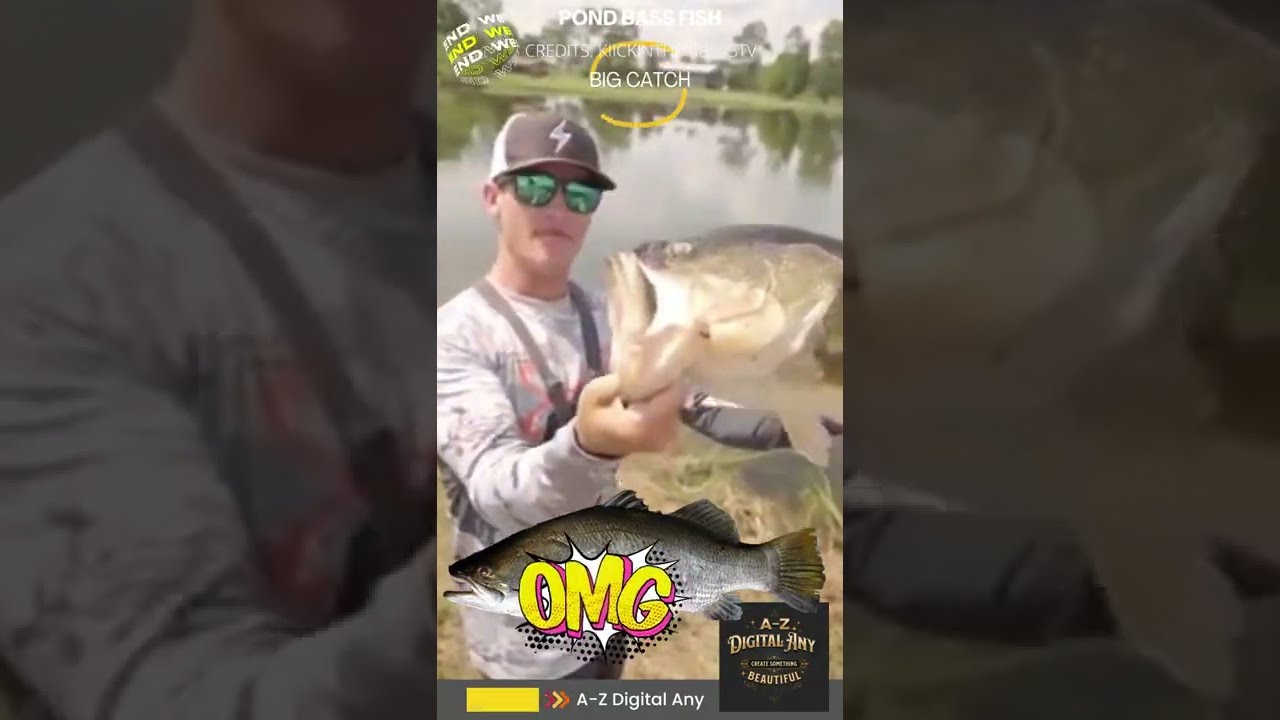 Bass Fish Big Catch  