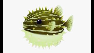 3D Animated Pufferfish