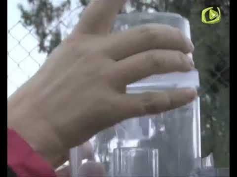 BEIRA TV: ESAL analisa meteorologia
