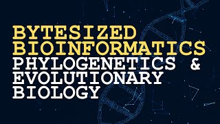 Phylogenetics And Evolutionary Biology Bytesized Bioinformatics