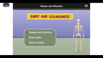 Science class 5 bones and muscles full chapter videos