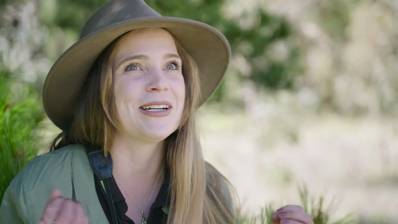 Noisy Minors with PhD candidate, Lucy Farrow