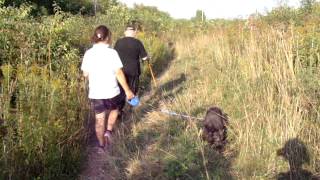 MOV05310