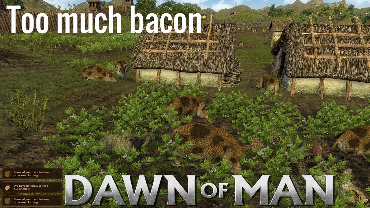 Being Over Run By Pigs Dawn Of Man P11 Youtube