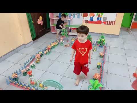 Video Hoạt động góc - Chủ đề 