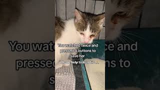 Would you be kind enough and press all buttons to help save her. please link in bio 🙏 ‎⁨#usa