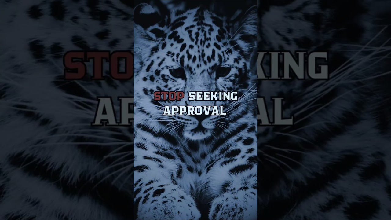 The Loudest Are the Weakest | Build Unshakable Confidence Quietly 