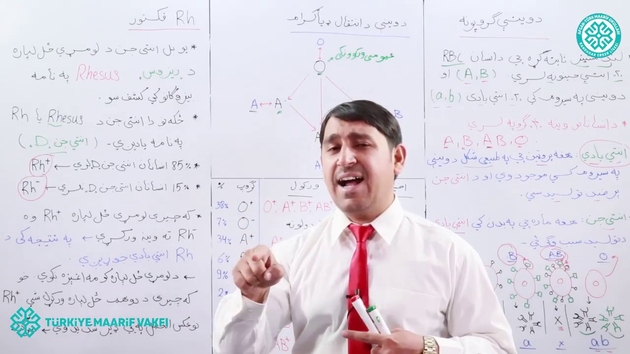 د ویني ګروپونه