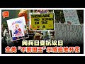 特朗普阅兵日引爆全美抗议潮 数百万人高喊 不要国王 特朗普阅兵日引爆全美抗议潮 数百万人高喊 不要国王
