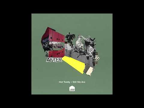Hot Toddy feat. Danielle Moore / Positive Emotion(Original Mix)