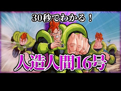 【ドッカンバトル】30秒で分かる人造人間16号(偽小鳥)【比較】