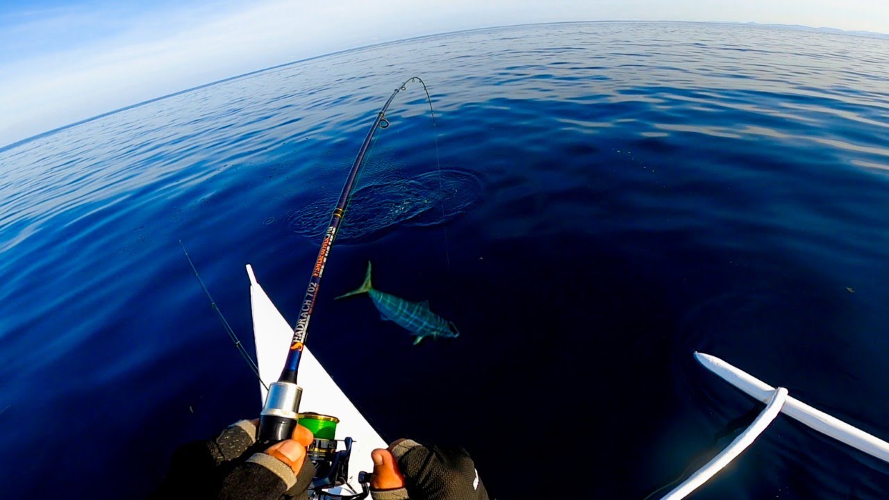 Hinagisan Ko Ang Kawan Sa Laot❗Boat Casting | Trolling - Catch And Cook
