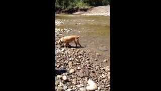 Ruby's very first swim