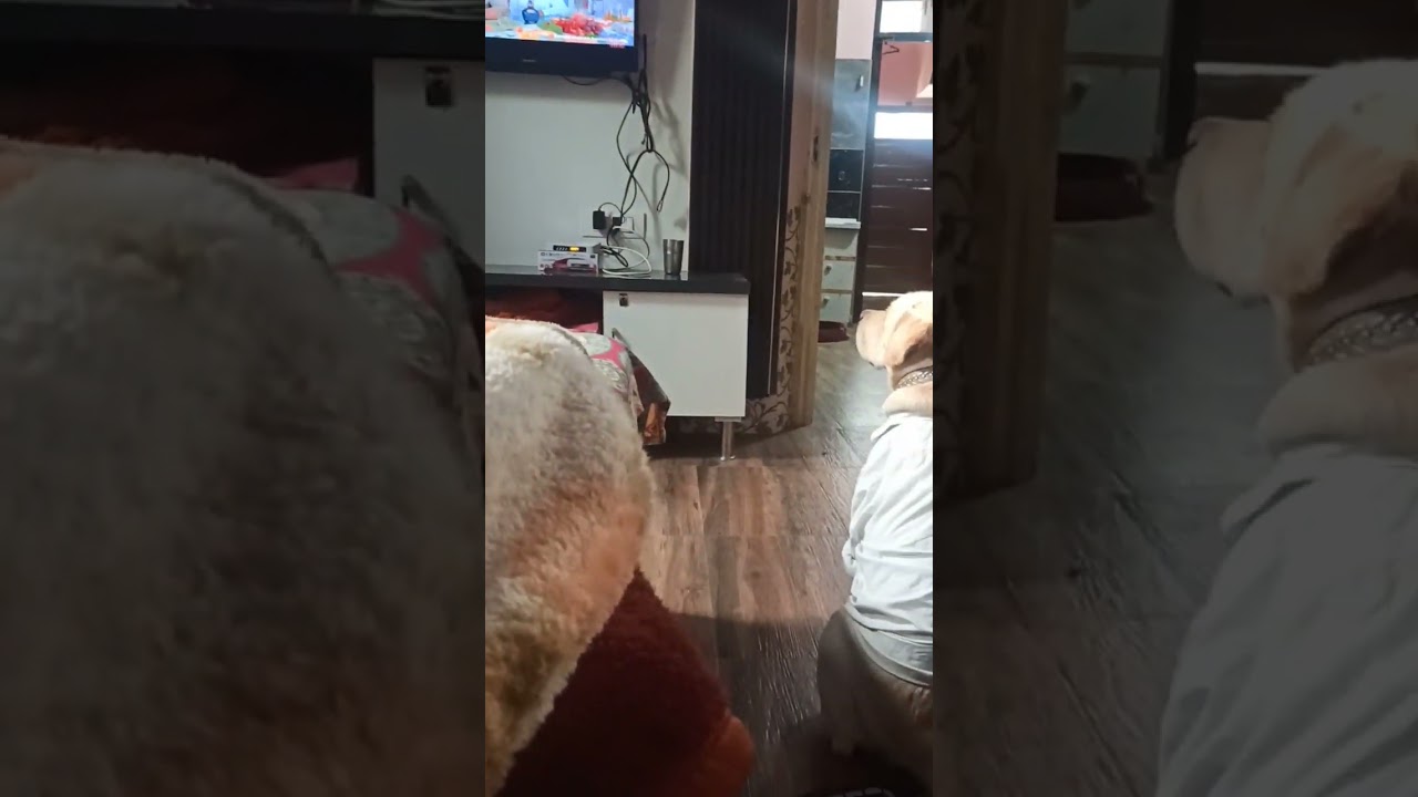 Tv addicted ❤️❤️ 