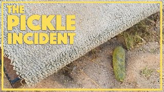 Summerland BTS - The Pickle Incident