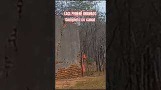 Saci-Pererê Real Flagrado Ê