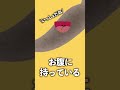 Q.プラナリアはどうやったら倒せますか?