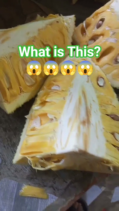 What is this?😱😱😱:#langka #jackfruit #jackfruitcutting #shorts