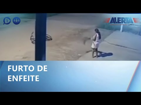 Roubo de decoração de natal Alerta lupa 1