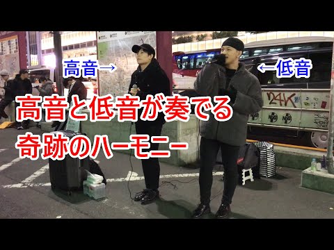 【路上ライブ】アイアイのうたーC&Kー【高温と低音が凄い！！】