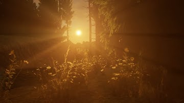 Irrealer Wald (Unreal Engine 5 & DaVinci Resolve Studio)