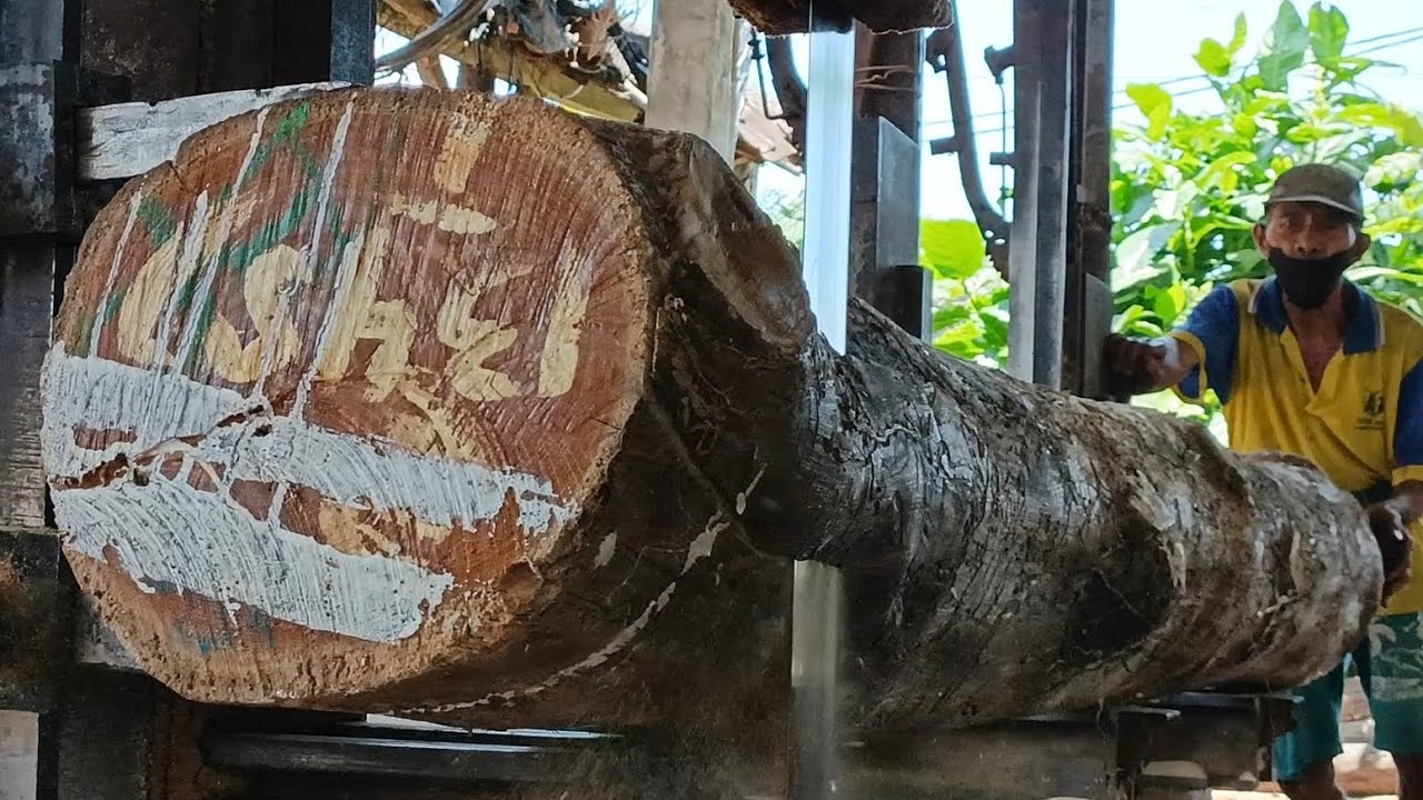 Get ready to experience unmatched power and efficiency in extraordinary log processing || sawmill