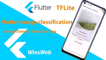 image classification TfLite mango disease detection flutter
