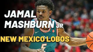 2x All-Mountain West guard Jamal Mashburn Jr. New Mexico Lobos 2022- 2023 Highlights | 19.1 PPG