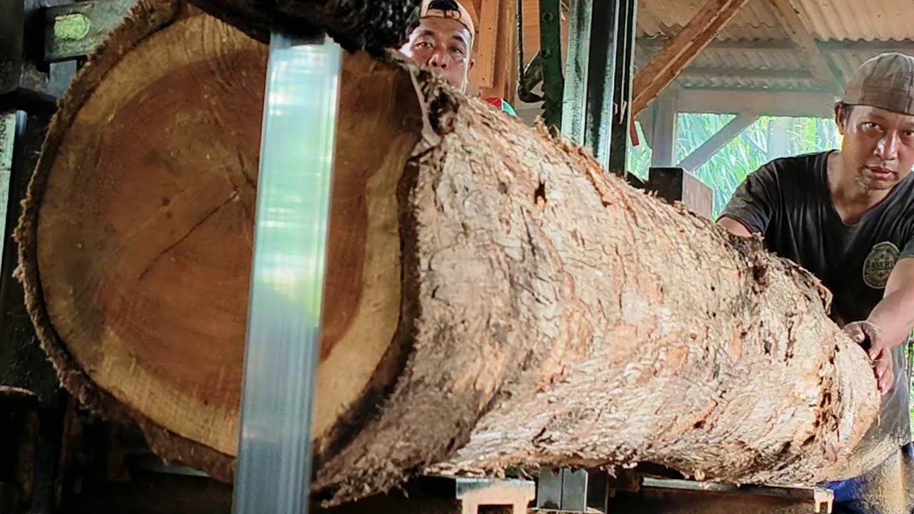 The challenge of processing wood quickly and accurately 