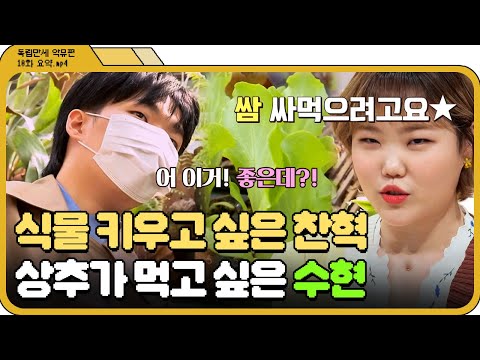 [📁독립만세 10화.zip] 악뮤(AKMU) 찬혁&amp;amp;<strong>수현이</strong> 식물원 가면 생기는 일 l 독립만세 l JTBC 210503 방송