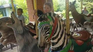 Cincinnati Zoo KingKeilani Ride Blue Zebra New Carousel June 24 2023