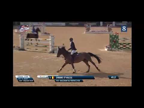 Baccarat Du Tertre - CSI4* Vejer de la Frontera - 13 02 2025
