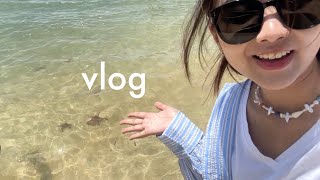 vietnam vlog p2 🇻🇳 / prettiest aquarium, VinWonder theme park, starfishes
